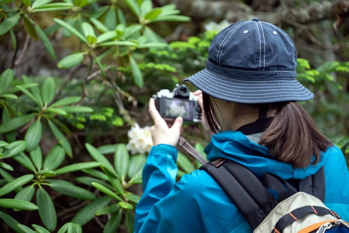 カメラで自然を撮影する女性